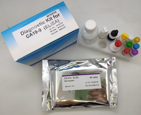 医学の迅速な診断 96 個 Elisa テスト キット Hbsag B 型肝炎表面抗原