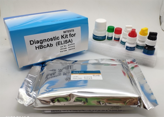 医学の迅速な診断 96 個 Elisa テスト キット Hbsag B 型肝炎表面抗原