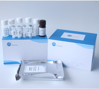 96健康な人間のMyeloperoxidase MPO ELISAのキット