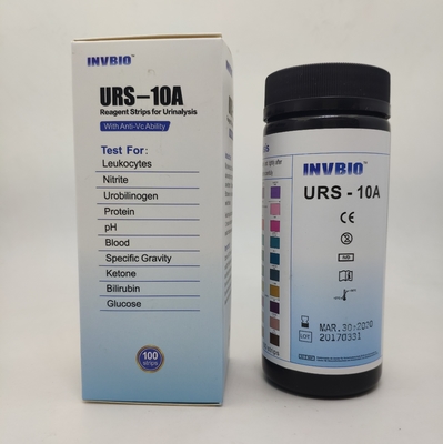 INVBIO 10変数尿検査テスト ストリップ生体外で
